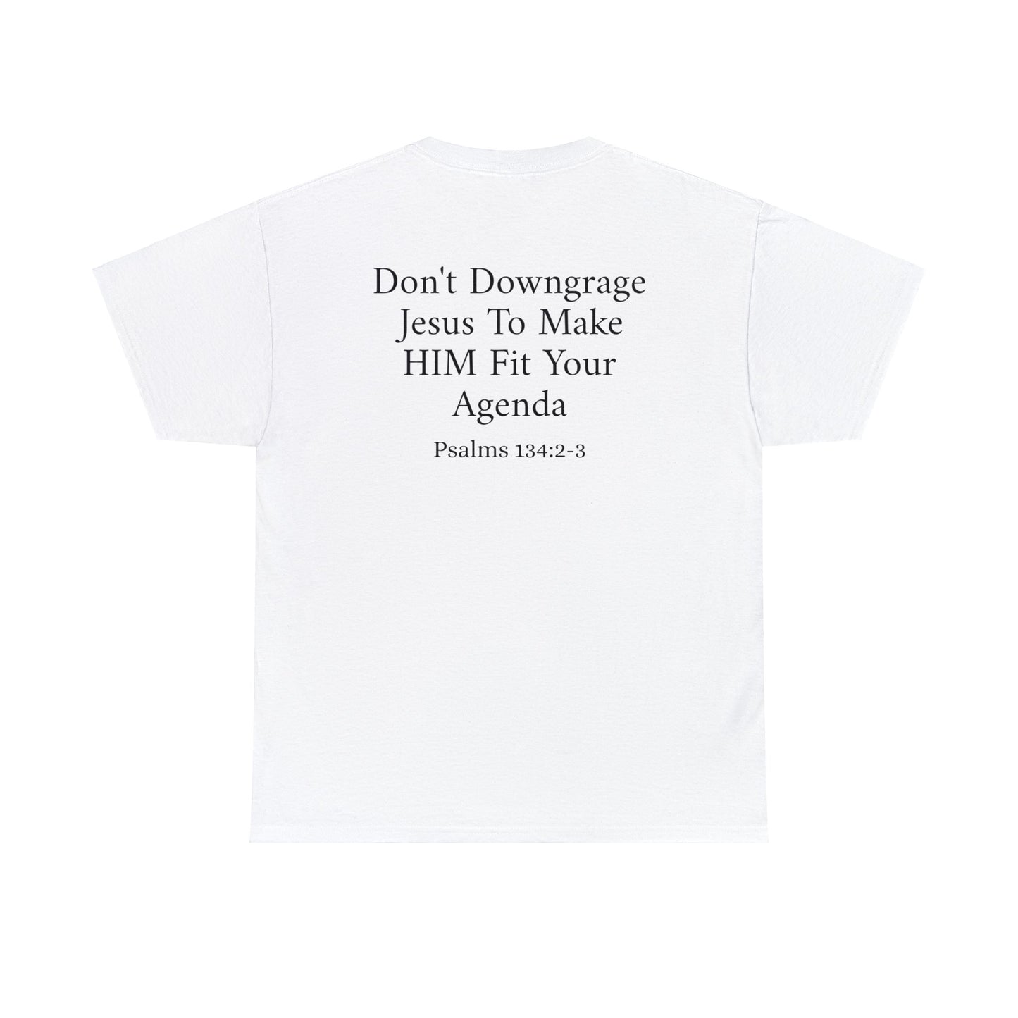 "Don't Downgrade Jesus" Unisex Heavy Cotton Tee