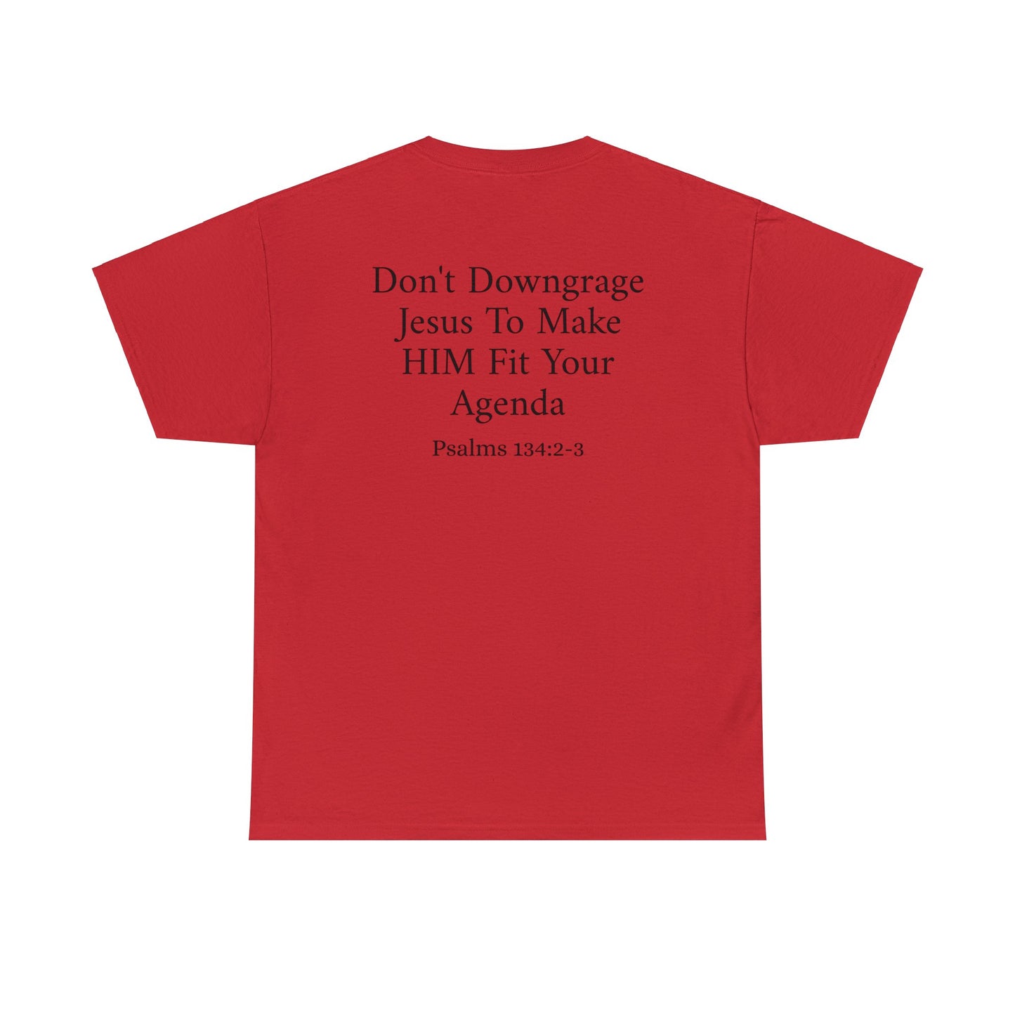 "Don't Downgrade Jesus" Unisex Heavy Cotton Tee