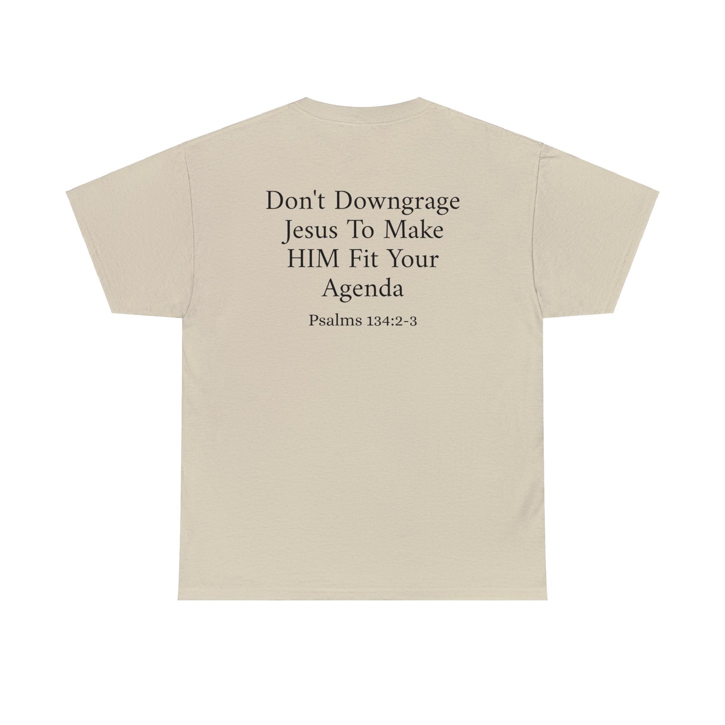 "Don't Downgrade Jesus" Unisex Heavy Cotton Tee