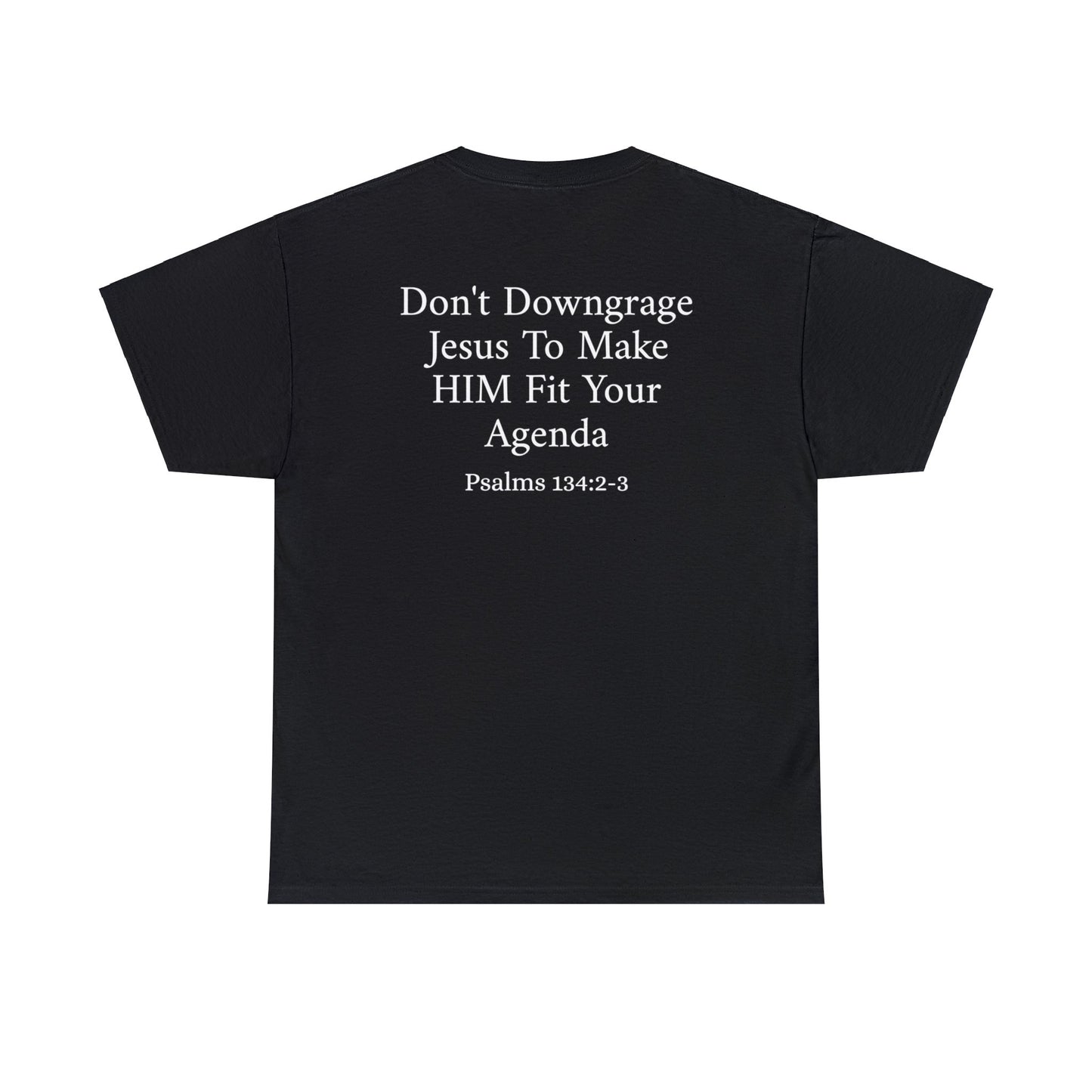 "Don't Downgrade Jesus" Unisex Heavy Cotton Tee